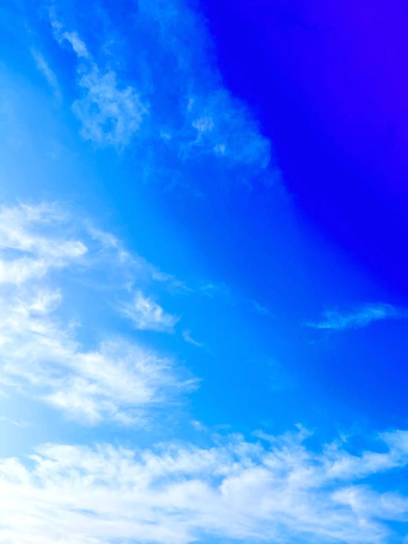 软件天空2026最新版
