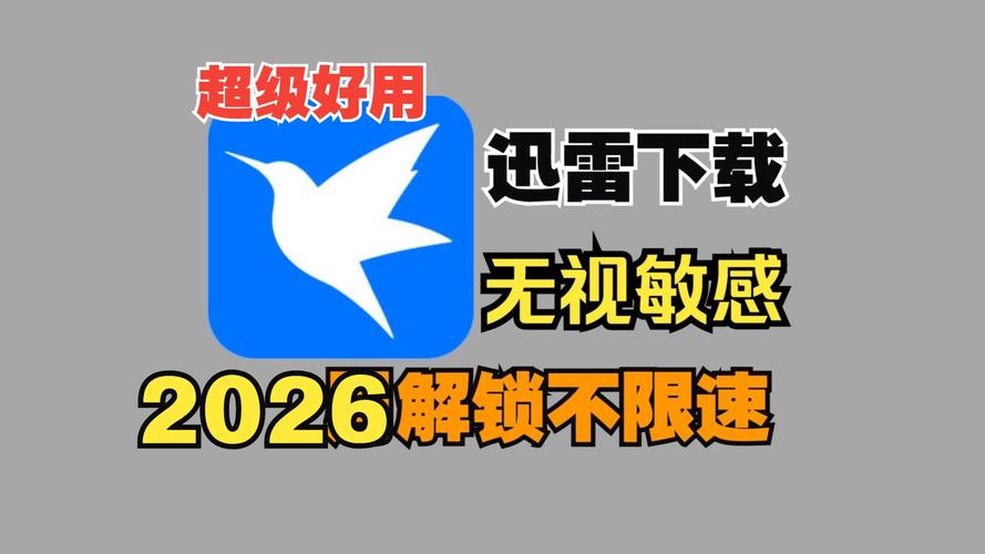 雷讯下载2026最新版
