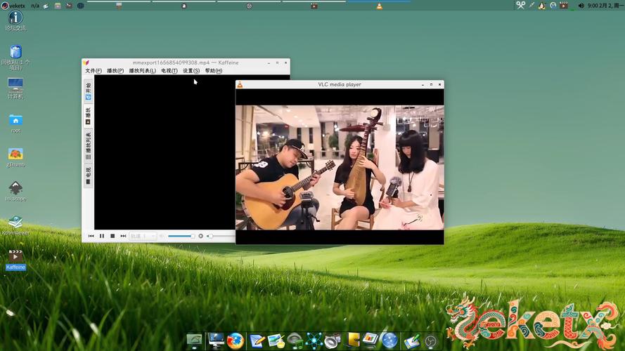 最新视频播放器2026最新版
