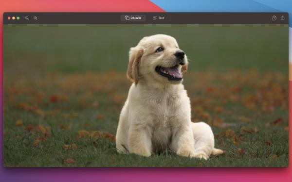 dx10下载2026最新版
