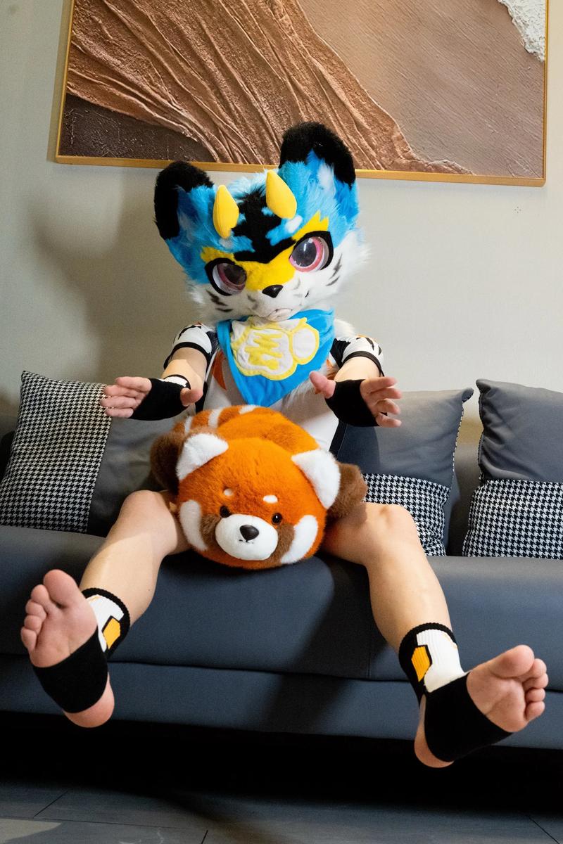 小懒xiao2026最新版
