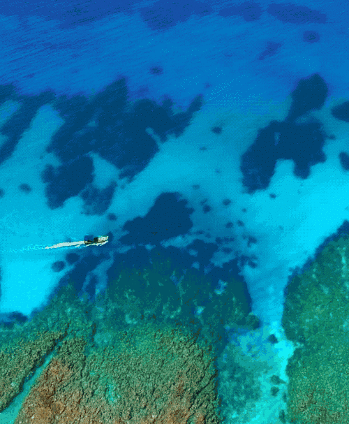 w7动态主题下载2026最新版
