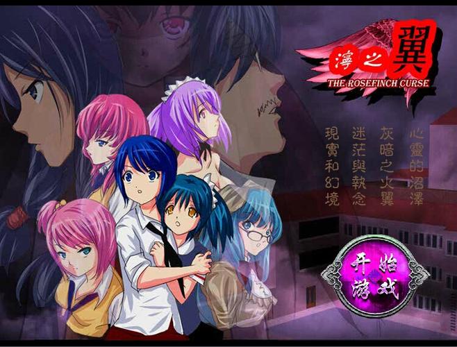 泞之翼2026最新版
