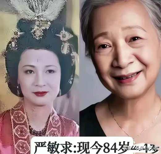 姐是老中医 mp32026最新版
