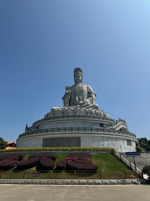 观音山 下载2026最新版
