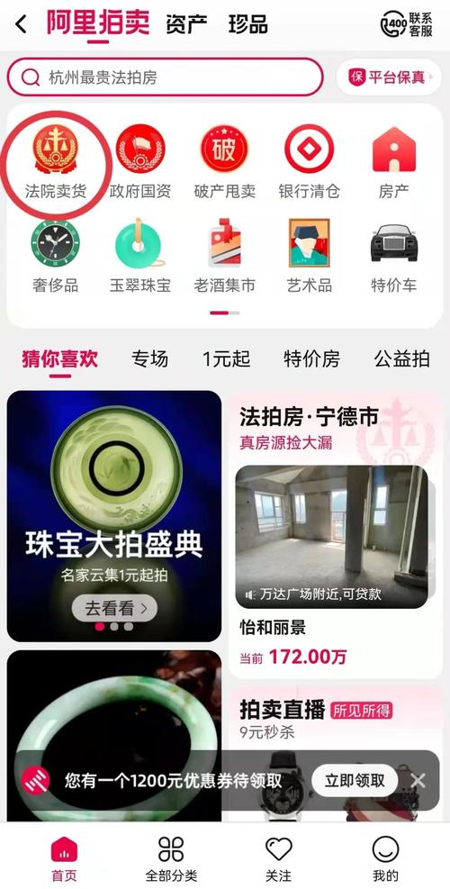 训雷看看2026最新版
