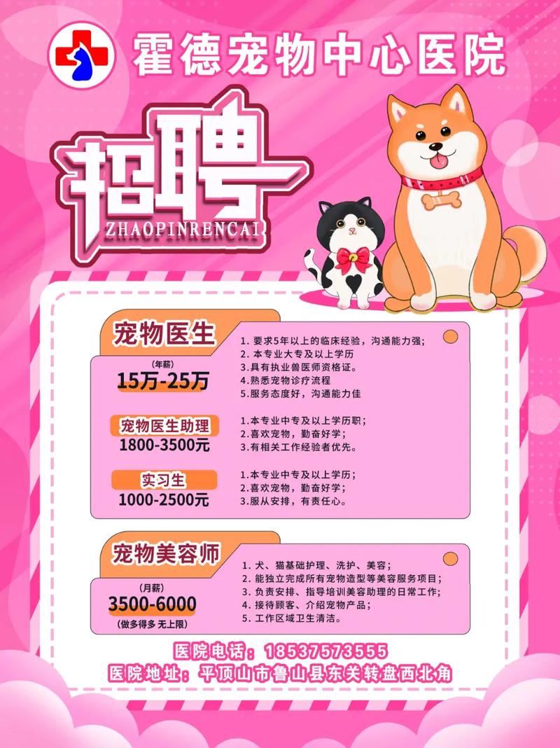 宠物人才网2026最新版
