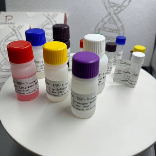 u盘病毒免疫2026最新版
