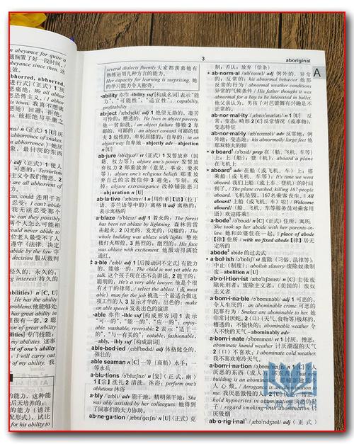 英文字典
