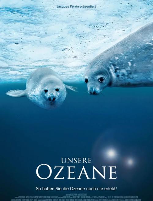 海洋 电影下载2026
