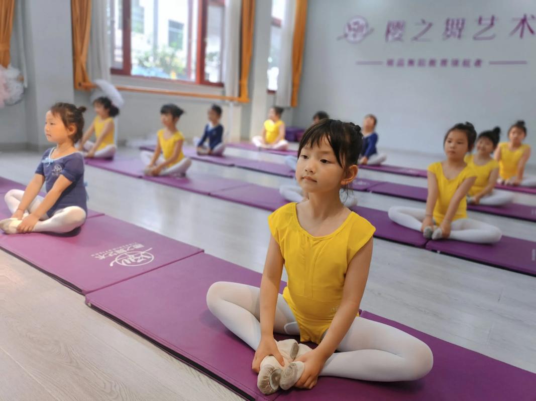 舞蹈教学视频下载2026
