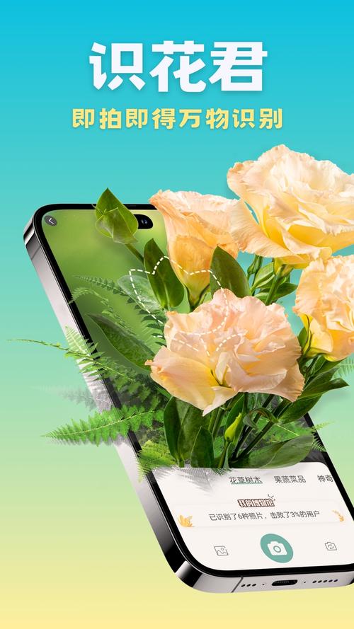 识万物拍照2026